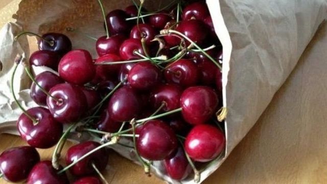 Описание и выращивание сорта вишни «Шоколадница»