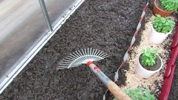 Обработка почвы в теплице весной перед посадкой огурцов