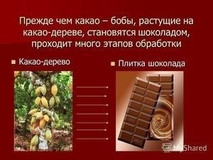 Шоколад какао бобы