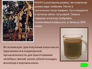 Тонизирующие культуры чай кофе какао