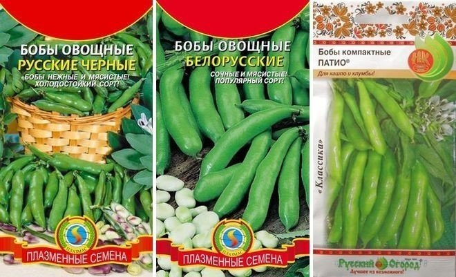 Бобы овощные белорусские