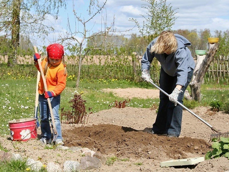 Привлечение детей к посильному труду на садовом участке