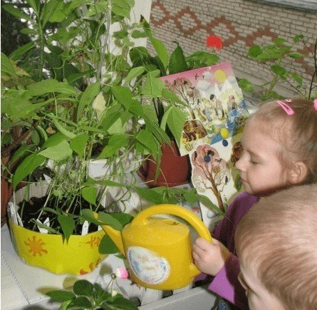 Дети поливают цветы в саду
