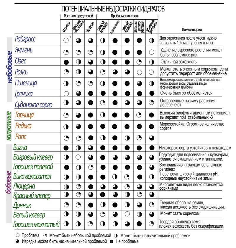 Таблица сидератов для овощных культур