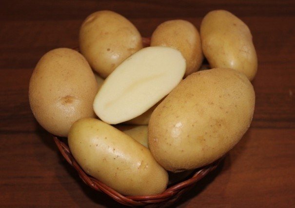 Картофель сорт рябушка