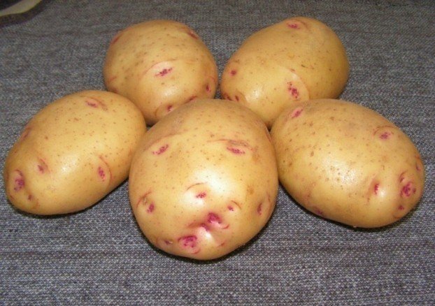 Семенной картофель аврора