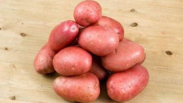 Картофель журавинка характеристика и описание сорта болезни и вредители