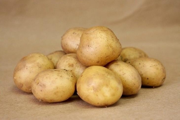 Сорт картофеля романо