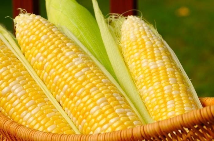 Как варить кукурузу в микроволновке