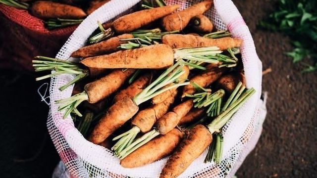 Какие сорта моркови лучше всего подходят для посадки