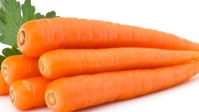 Морковь роте ризен отзывы фото