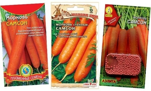 Морковь самсон сибирский сад