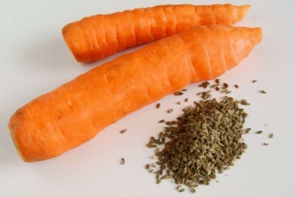 Семена морковки и петрушки