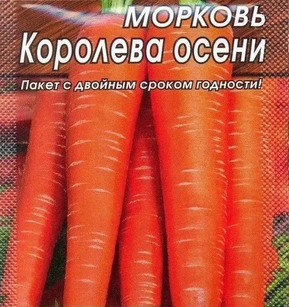 Морковь королева осени аэлита ц