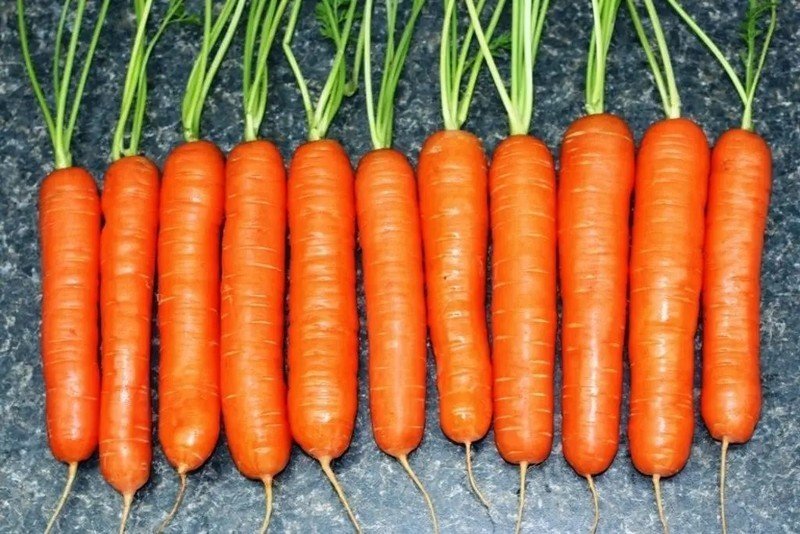 Морковь ранняя нантская
