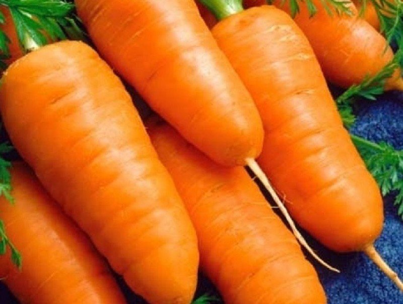 Морковь шантенэ роял