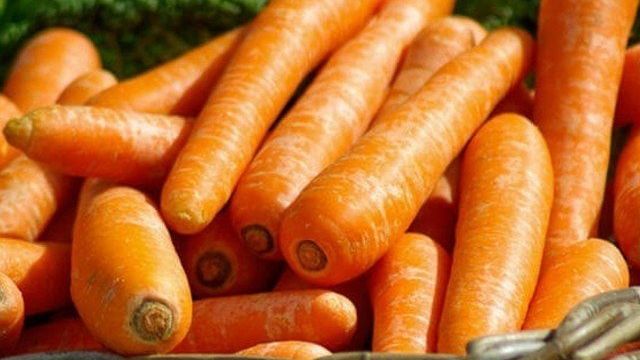 Выращивание и уход за морковью. Секреты получения хорошего урожая в открытом грунте