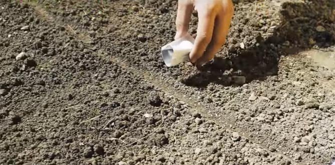 Подготовка почвы