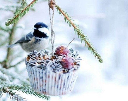 Зимний день с птичками