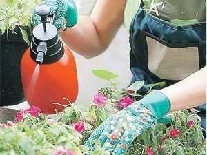 Химикаты для садоводства