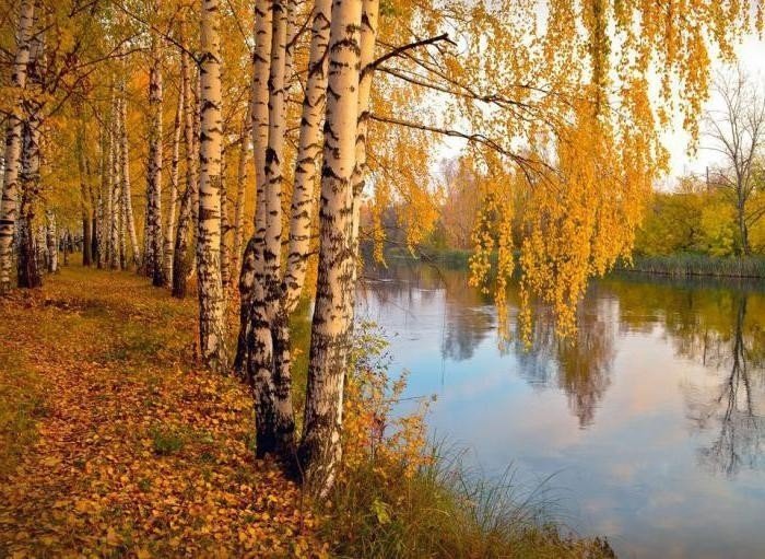 Золотая осень природа река