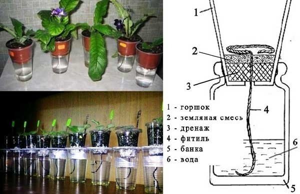 Фитильная система полива комнатных растений