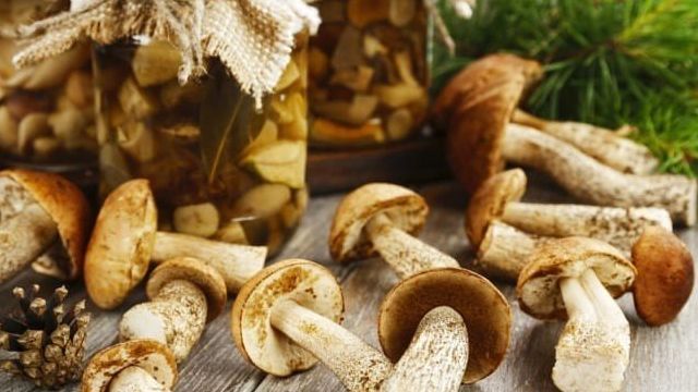Как вкусно солить белые грибы