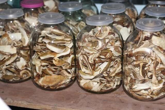 Сушеные белые грибы в банке