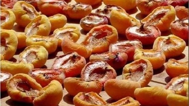 Как сушить абрикосы на курагу
