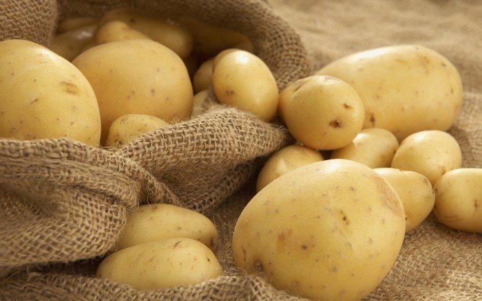 Сорт картофеля ласунок