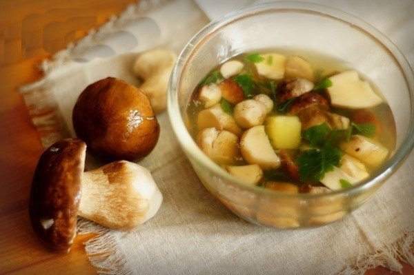 Грибной суп рецепт из свежих лесных грибов с картошкой и вермишелью